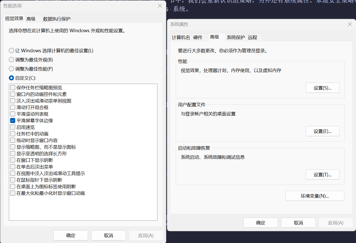 性能选项 - 视觉效果