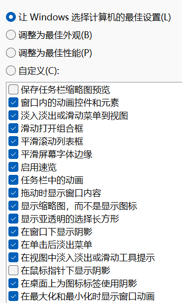 性能选项 - 默认